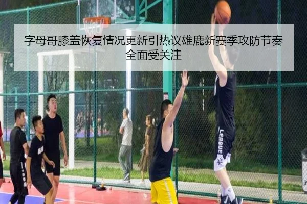 字母哥膝盖恢复情况更新引热议雄鹿新赛季攻防节奏全面受关注