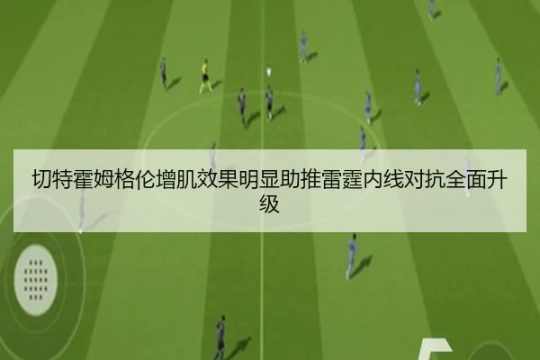 切特霍姆格伦增肌效果明显助推雷霆内线对抗全面升级